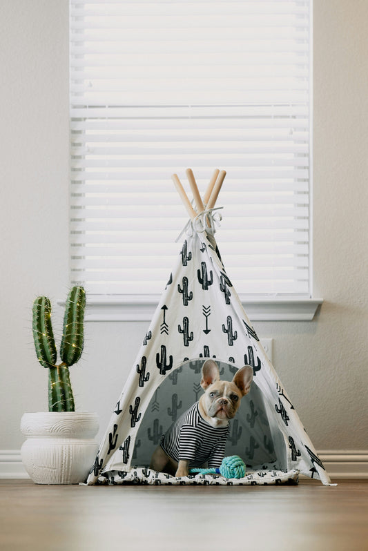 Tienda De Campaña Tipi Mascotas